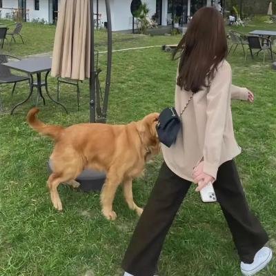 汉尼拔 在线观看